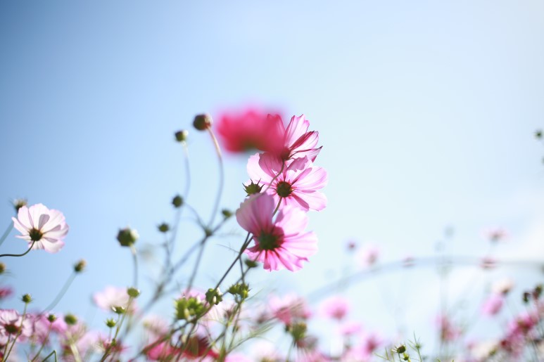참좋은날 이미지