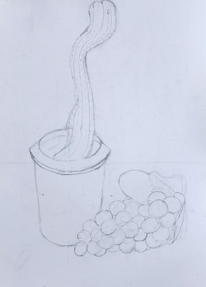 선인장포도 이미지