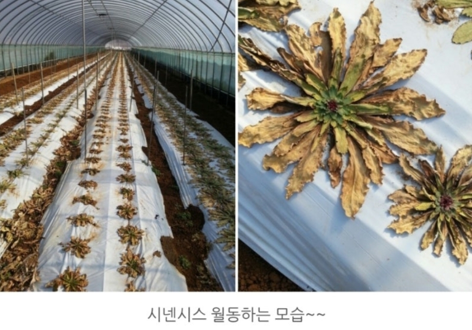 오션블루 이미지