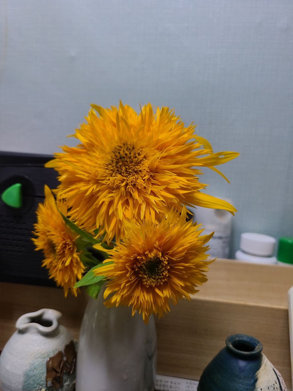 아침에꽃 이미지