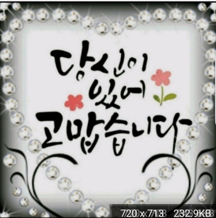 초록햇살 이미지