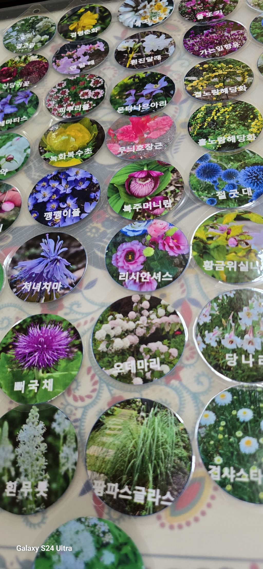 예쁘지우 이미지