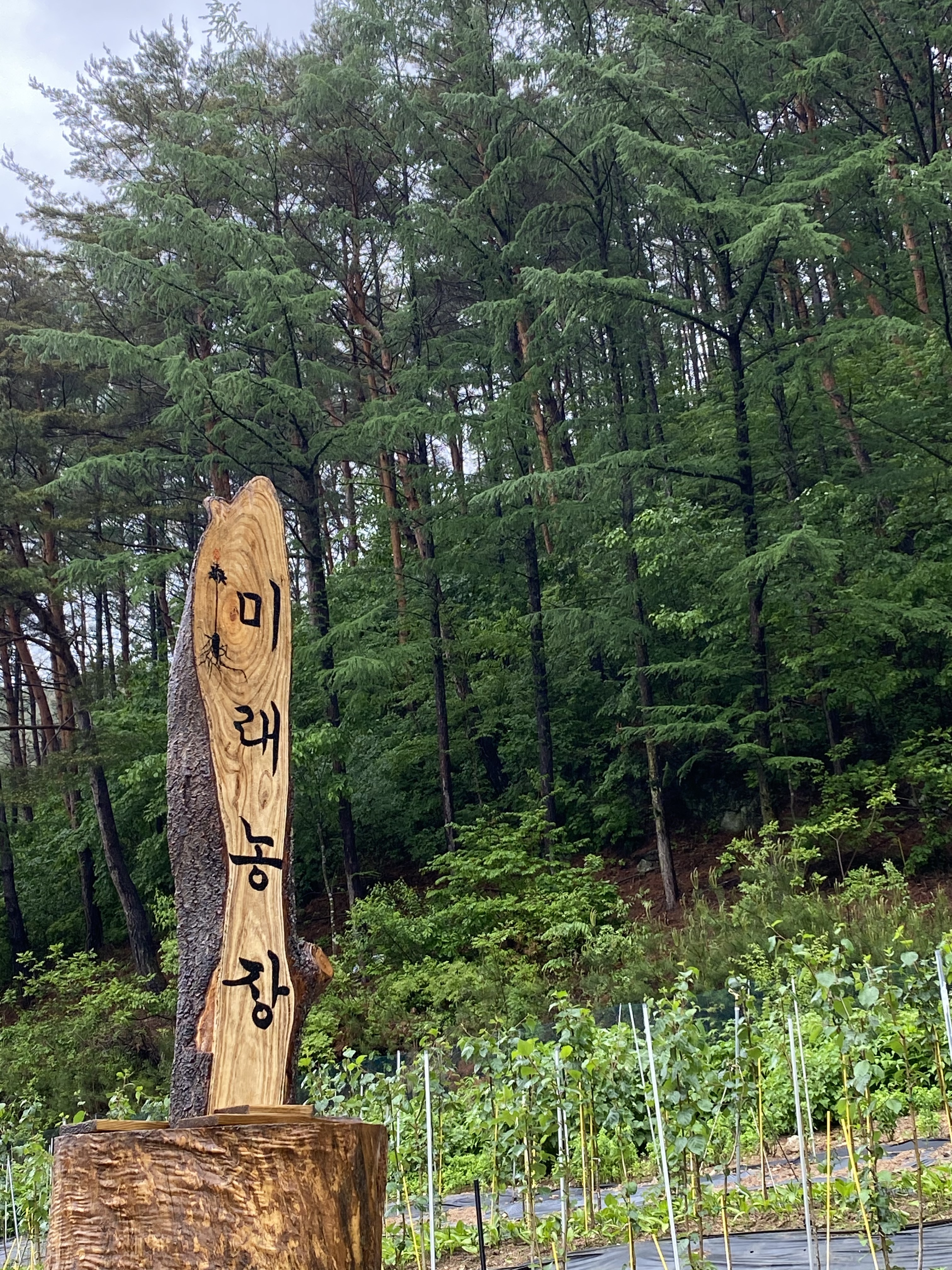 미래농장 이미지