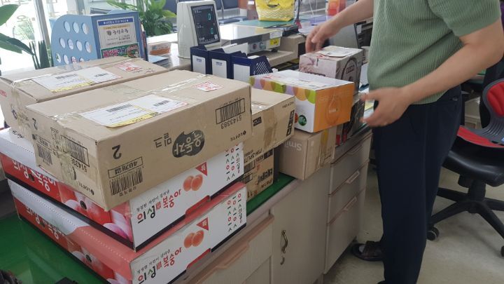 폼폰 이미지