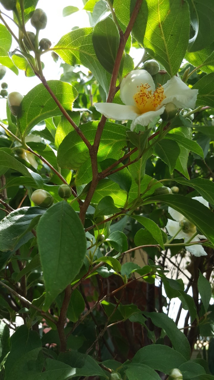 (주)키우다 이미지