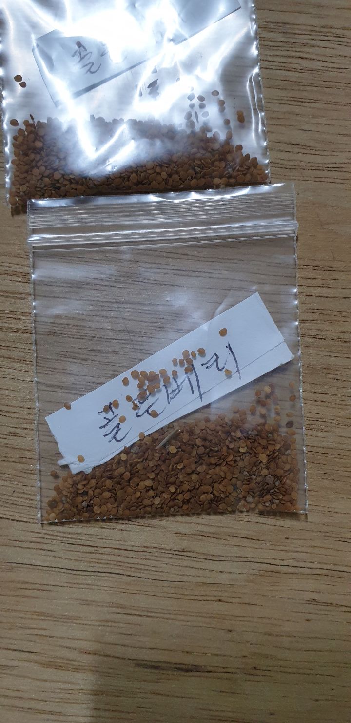 골든씨(주) 이미지