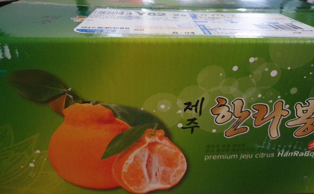 준이네 이미지