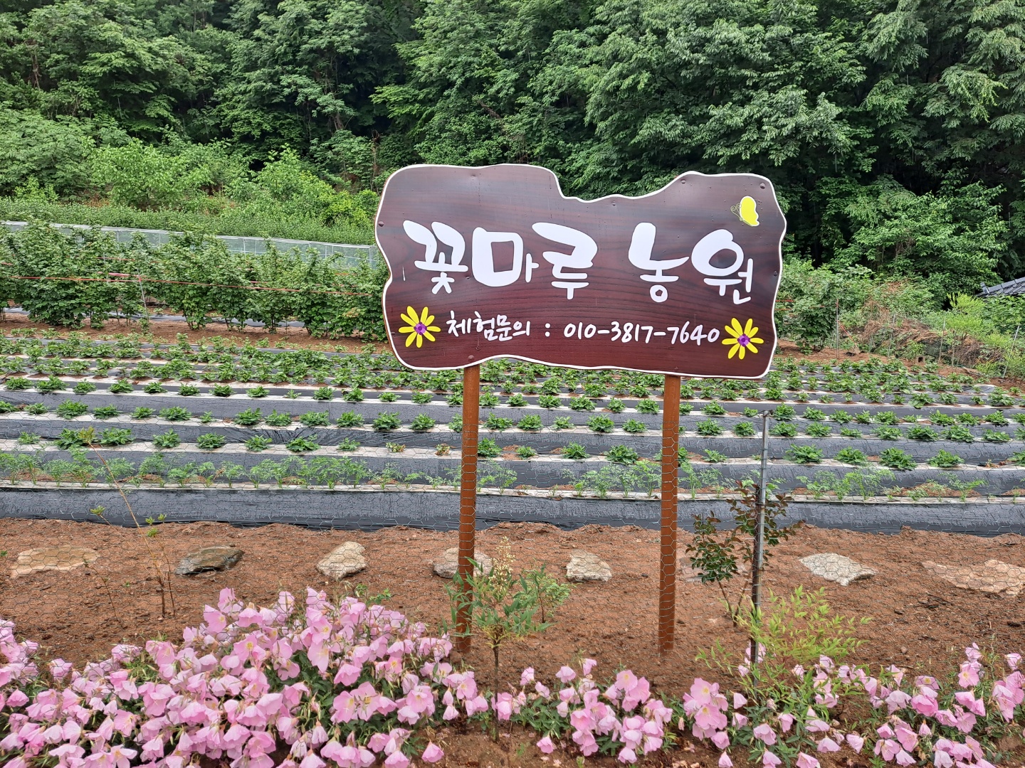 단비농원 이미지