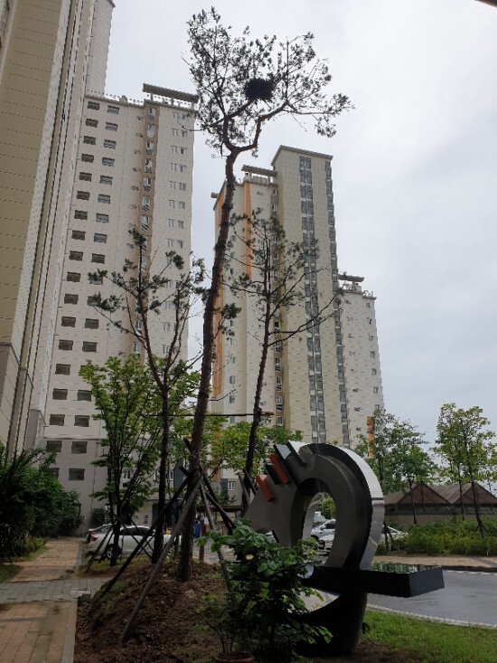 우신건축 이미지