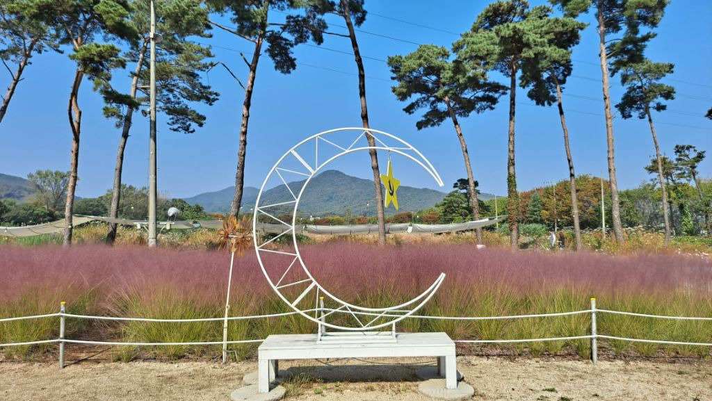 카페새로 이미지