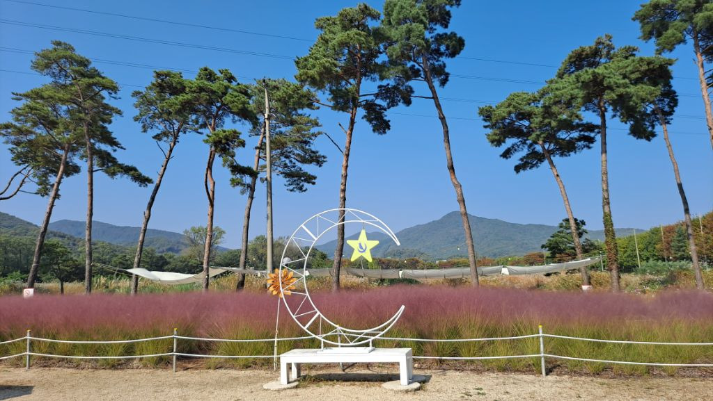 카페새로 이미지