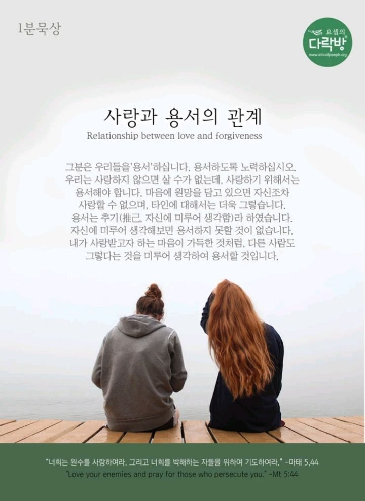 다해 이미지