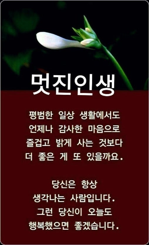 멋진인생 이미지