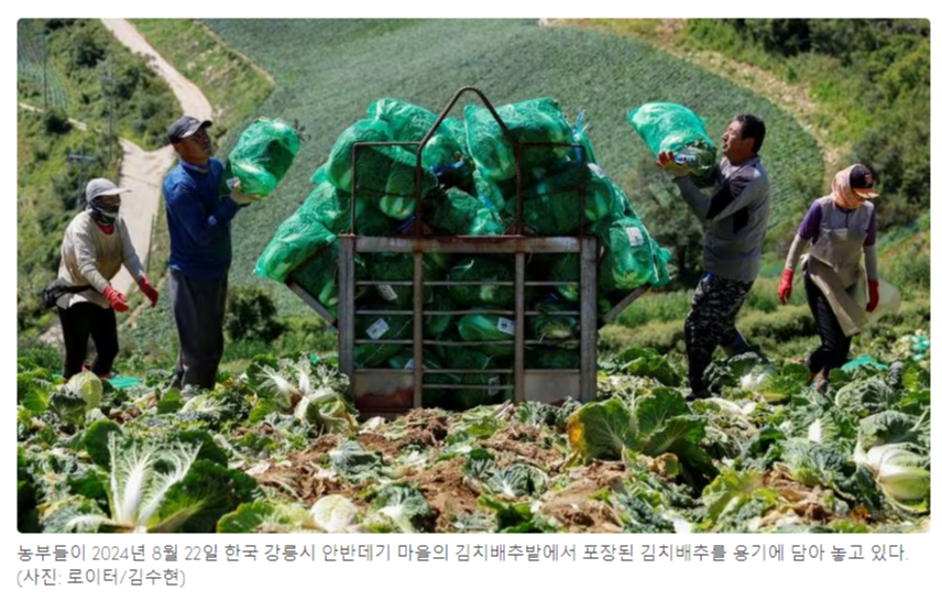 미화농수산 이미지