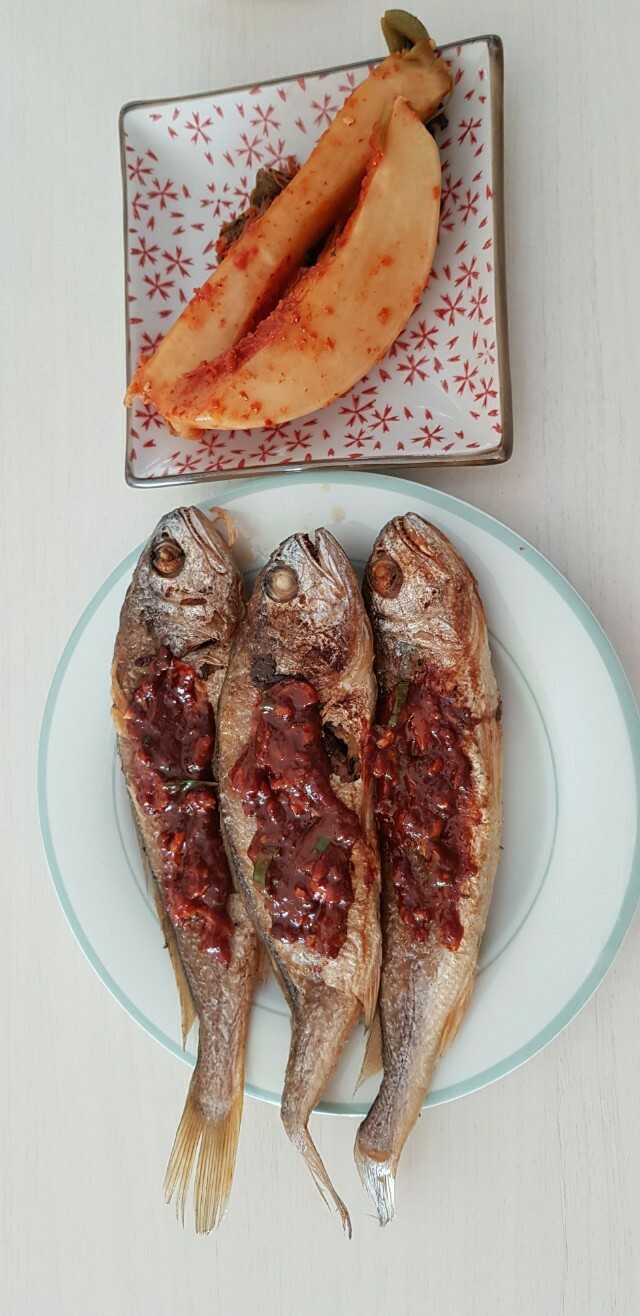참조기집 이미지