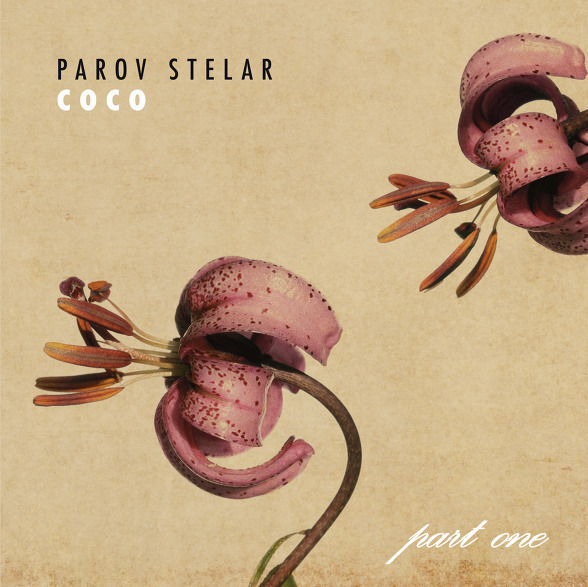 COCO 이미지