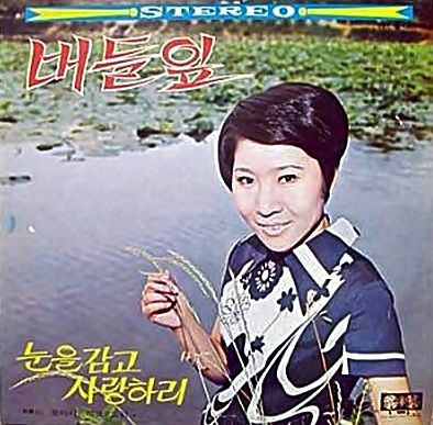버들잎 이미지