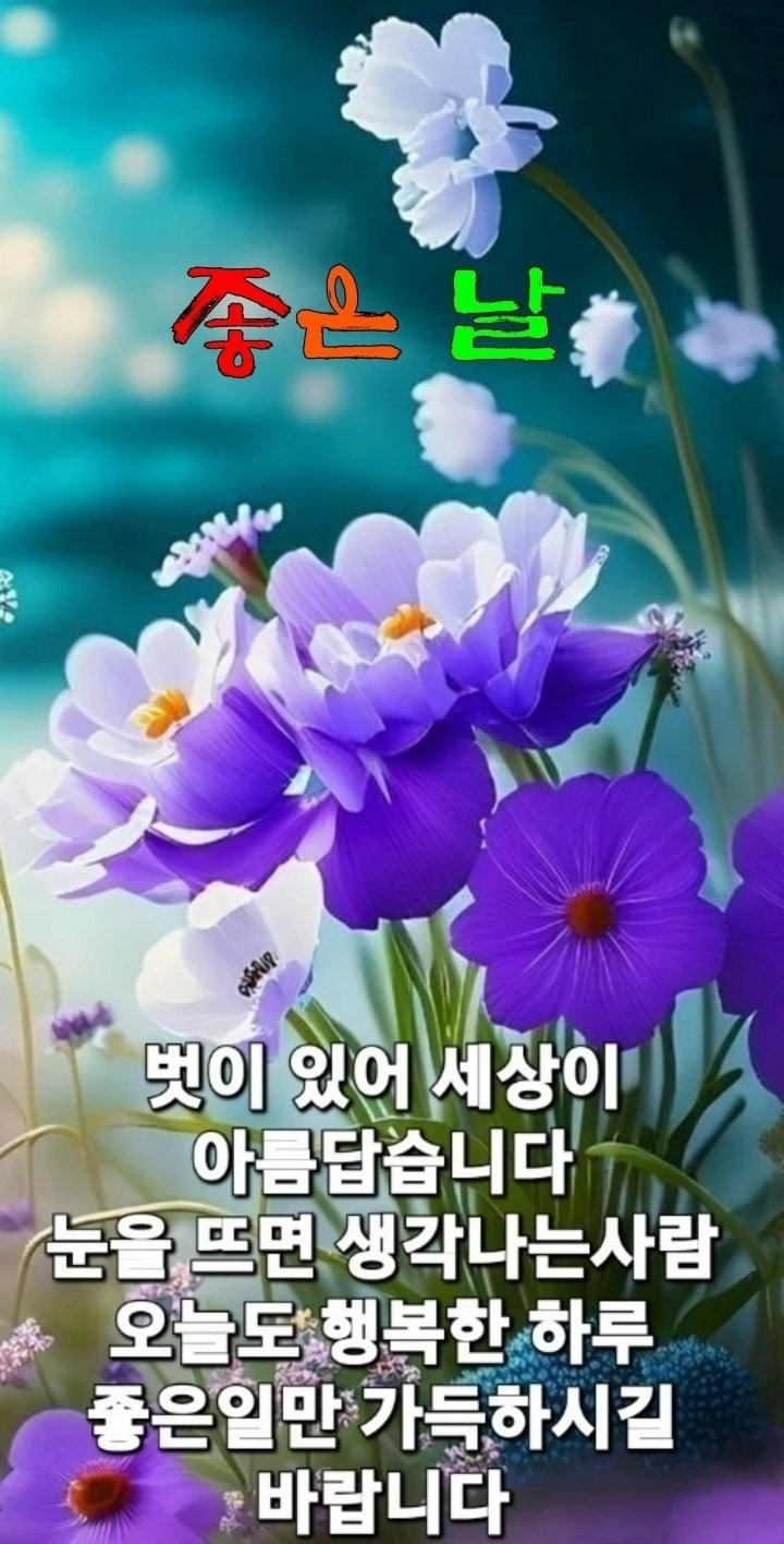 토박이 이미지