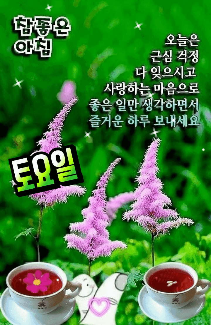 행복한 주말되세요 - 자유게시판 - 조명섭 공식 팬카페 ♡ 에밀스