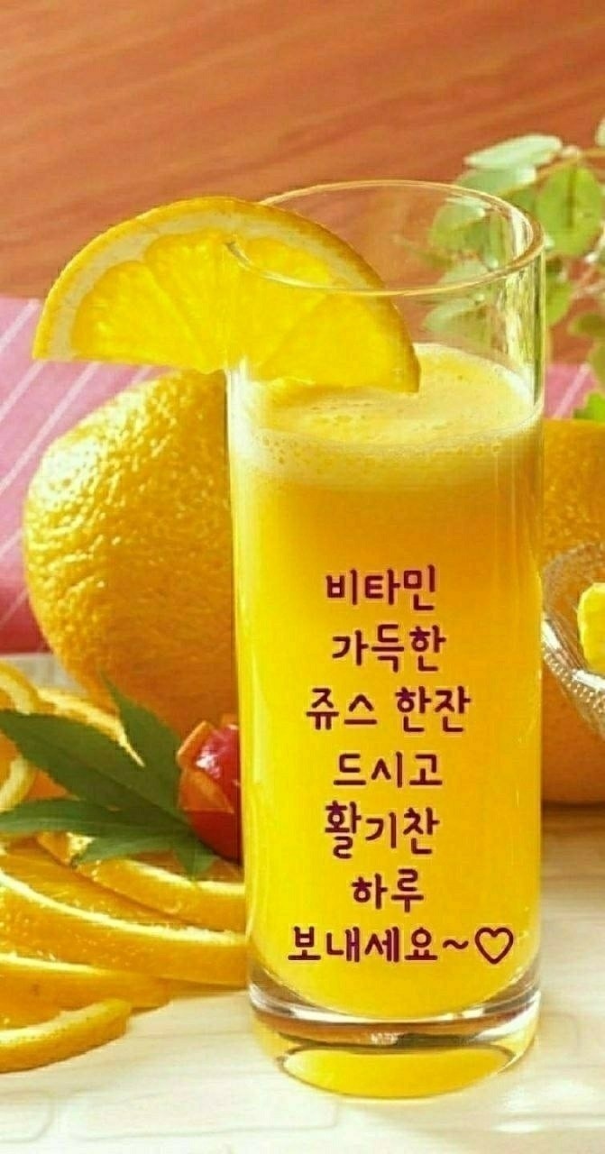 비타민노래카페 이미지