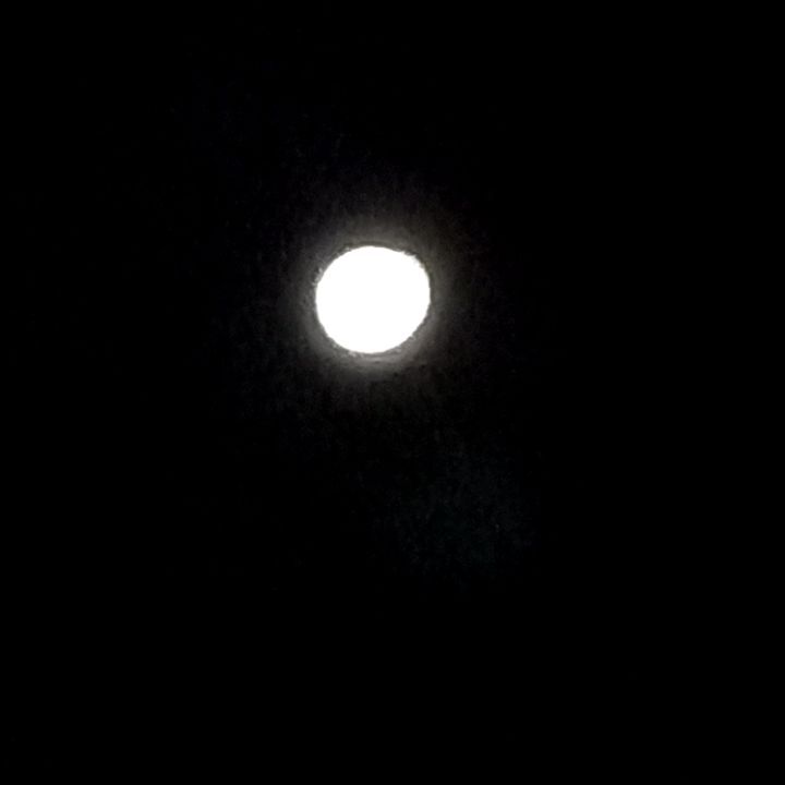달님 이미지