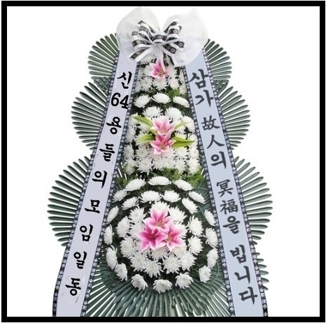 잔비어스 이미지