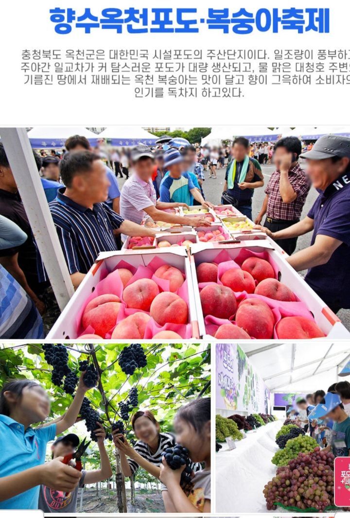 세종당 이미지