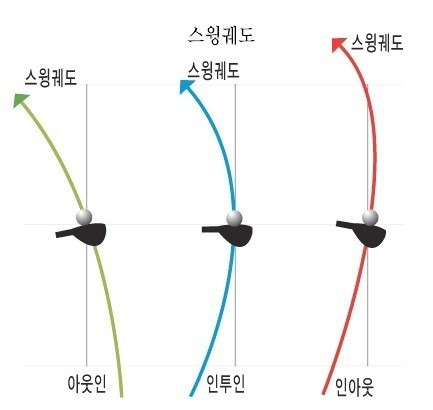 따리나 이미지