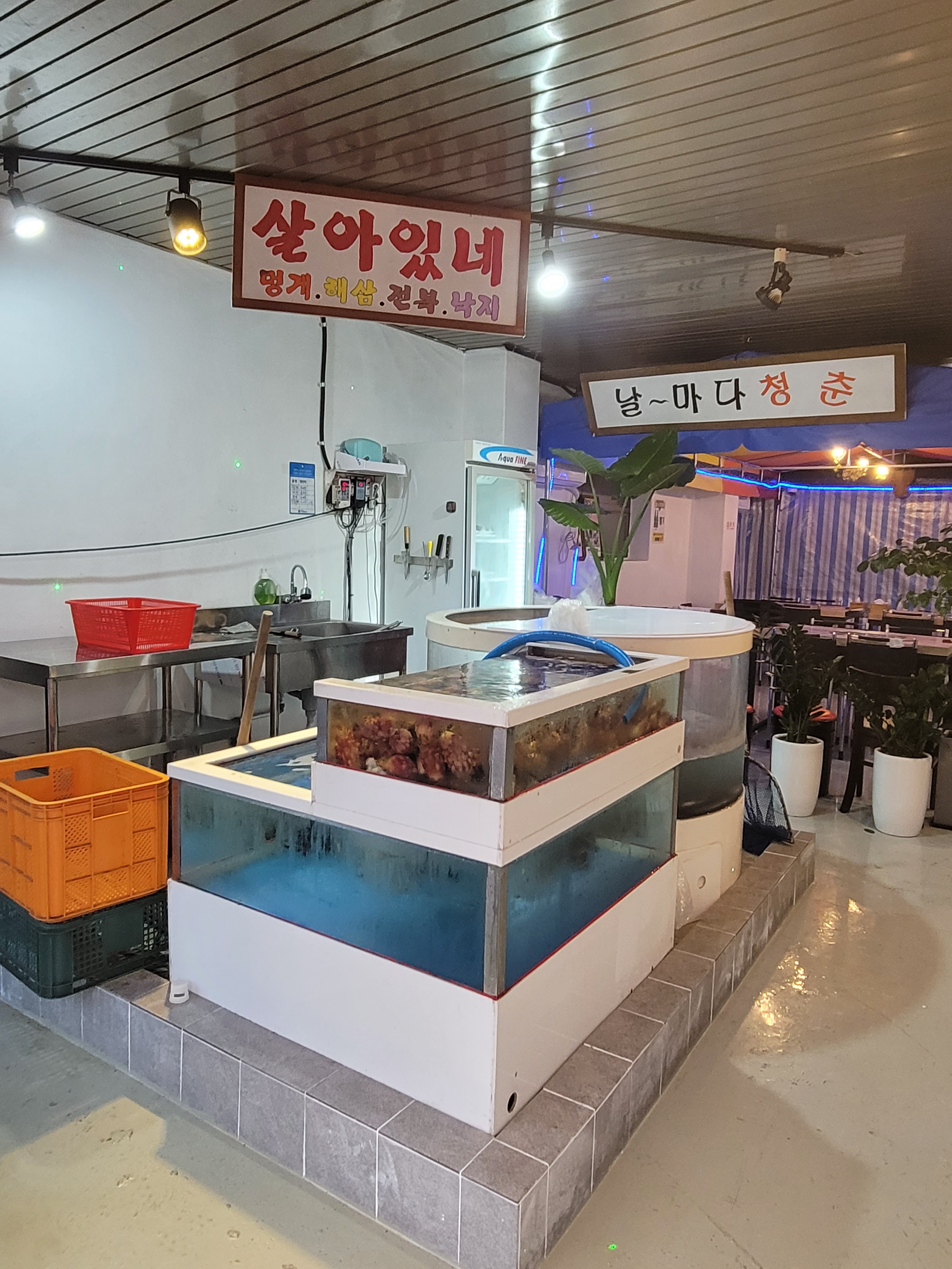 또먹어도돼지 이미지