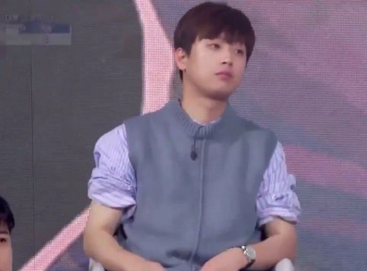 스테프 이미지