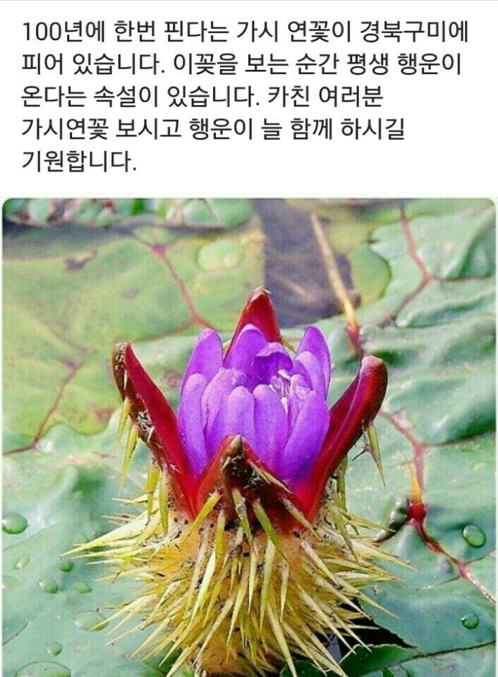 금잔디미용실 이미지