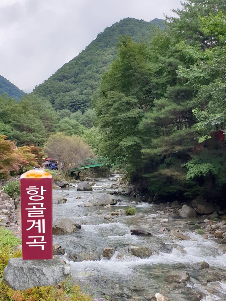항골한우 이미지
