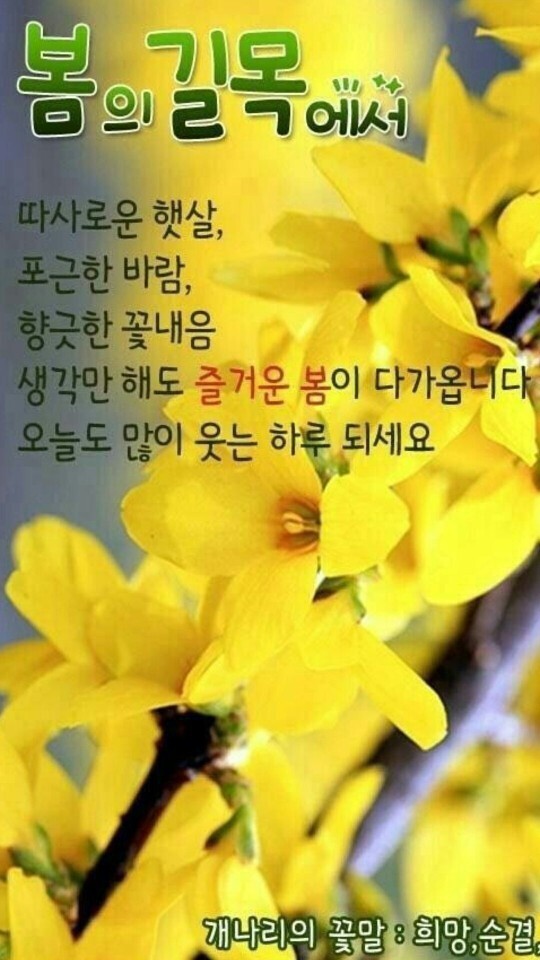 행운 이미지