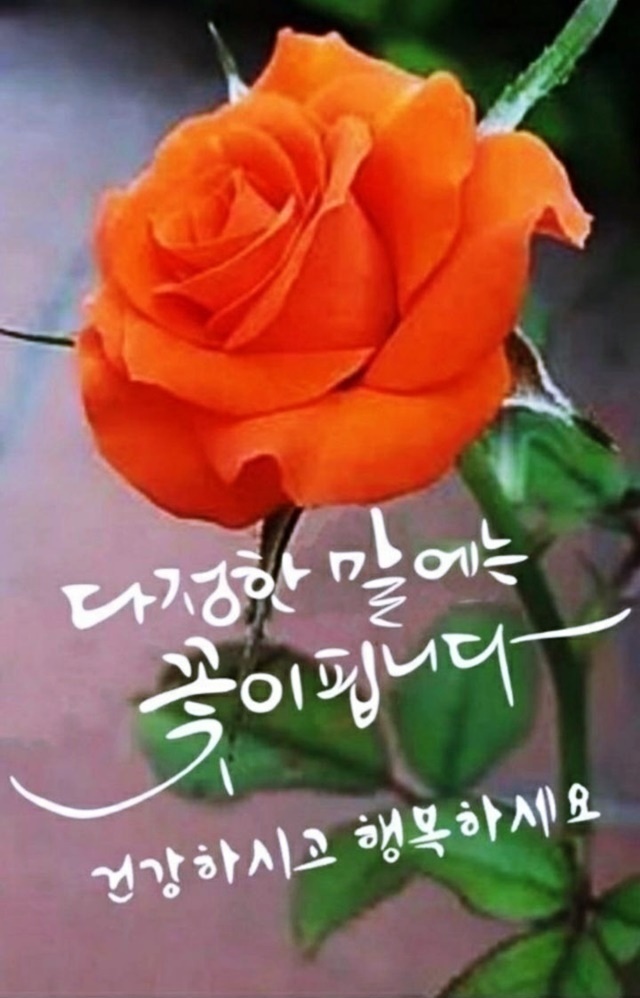 건강한하루 이미지