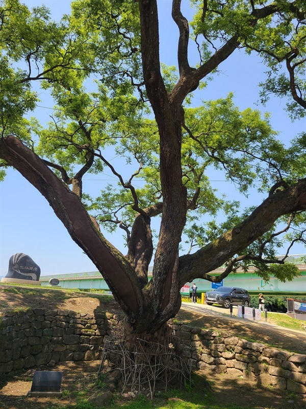 주막집 이미지