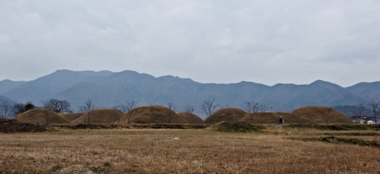 금자 이미지