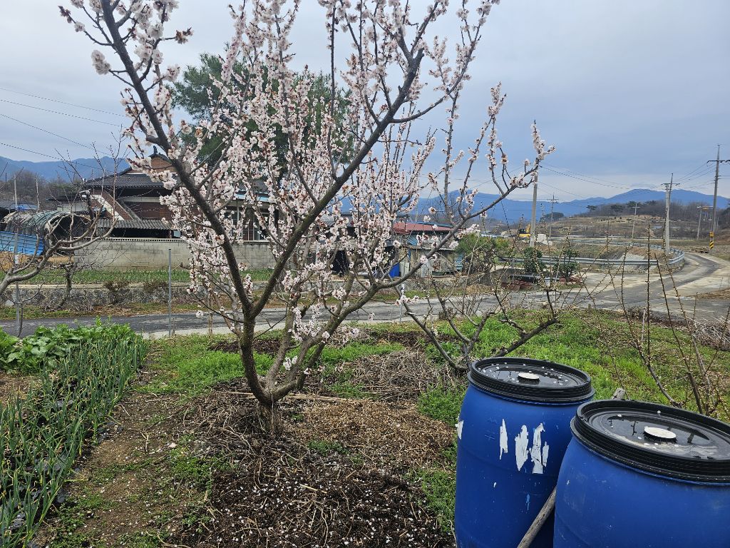 (주)율곡 이미지