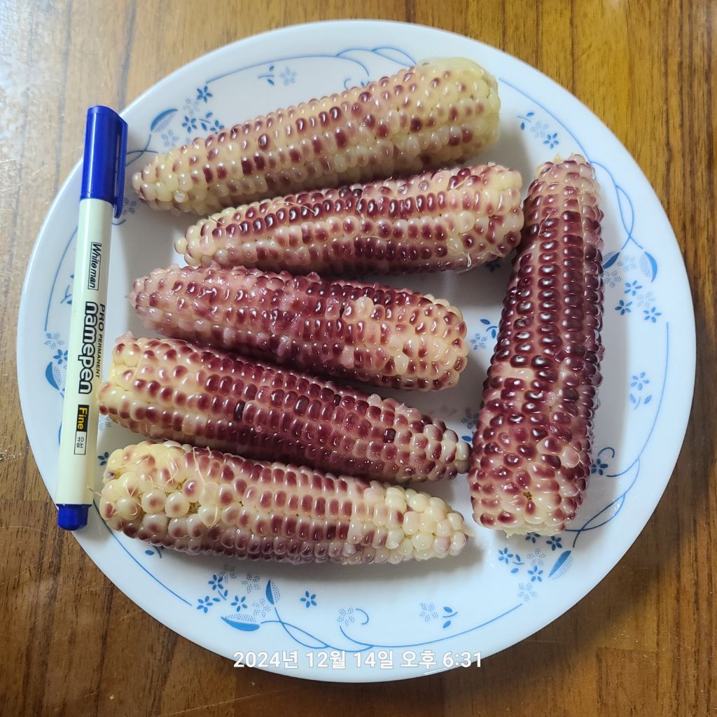마카다 이미지