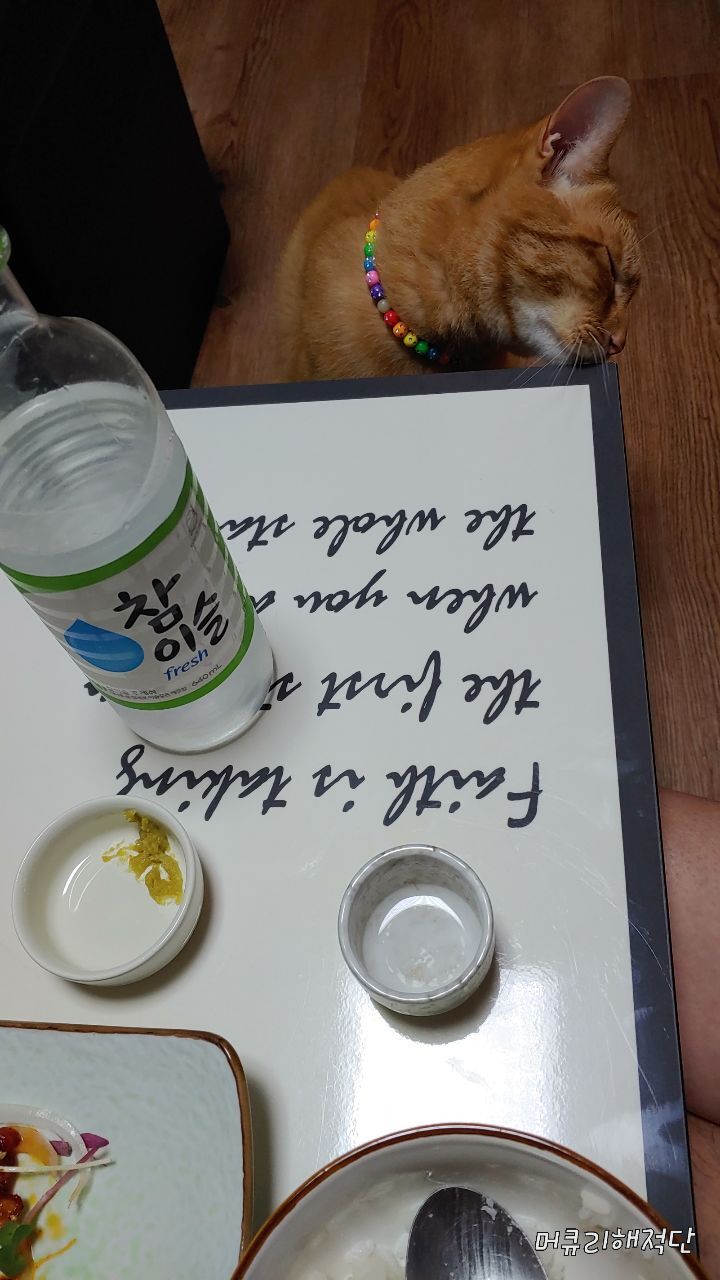 오늘안주 이미지