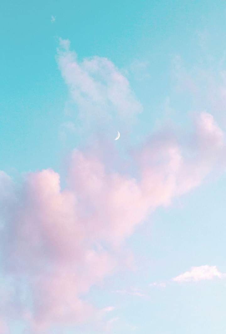 제이유 이미지