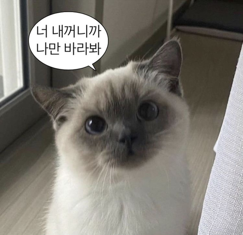 오로지 이미지