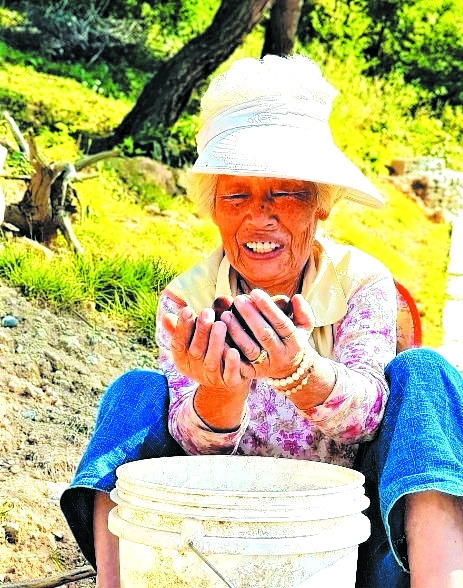 88통신 이미지