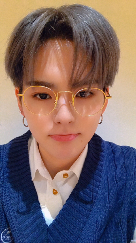 요시 이미지