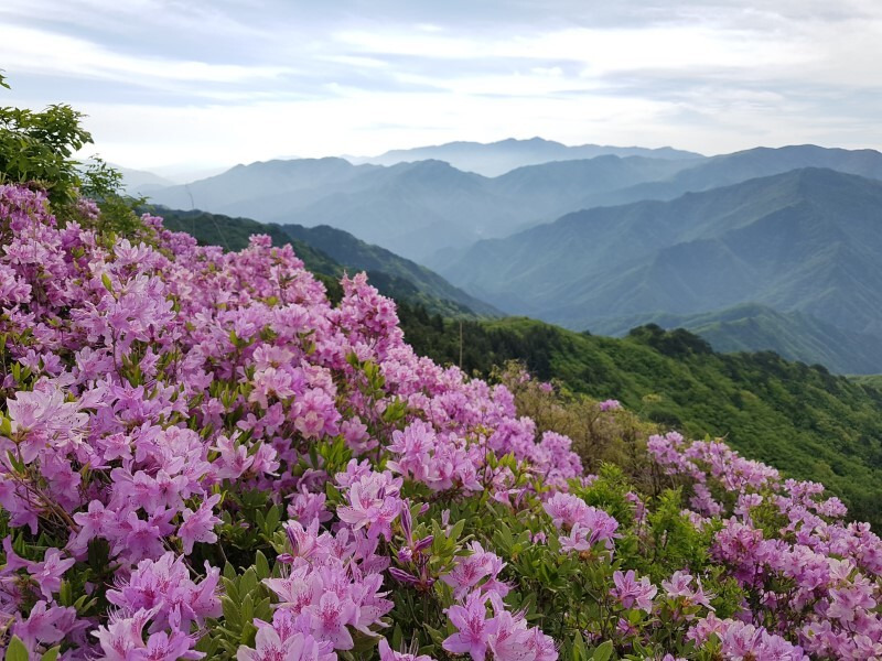 고래푸드마트(주) 이미지