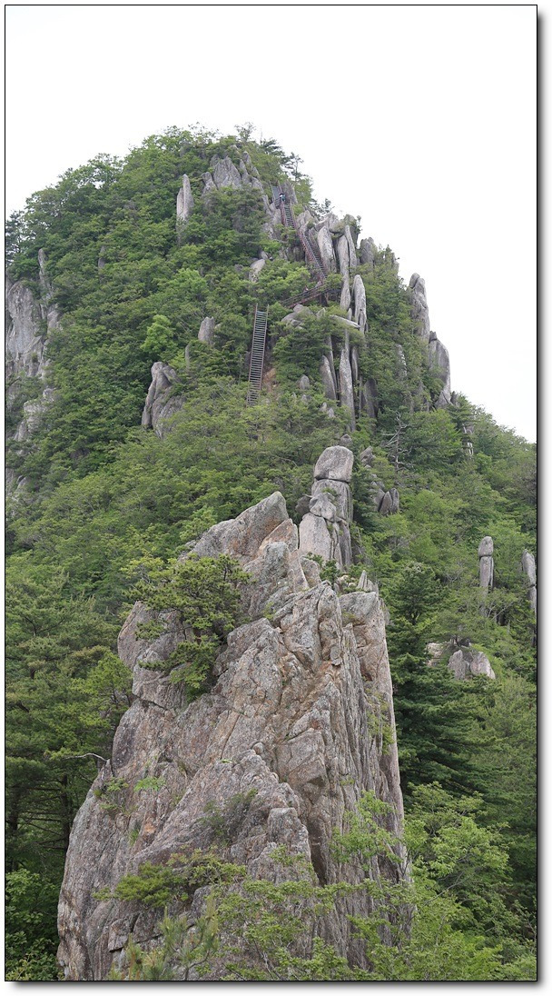 고래푸드마트(주) 이미지