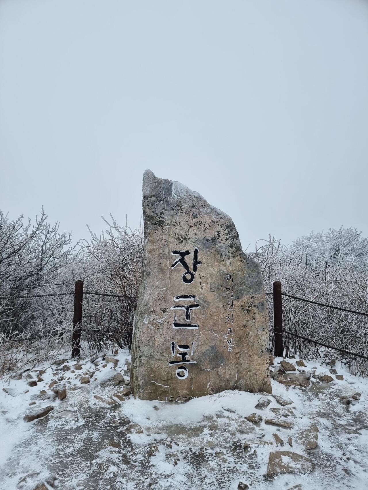 제이시티2호 이미지