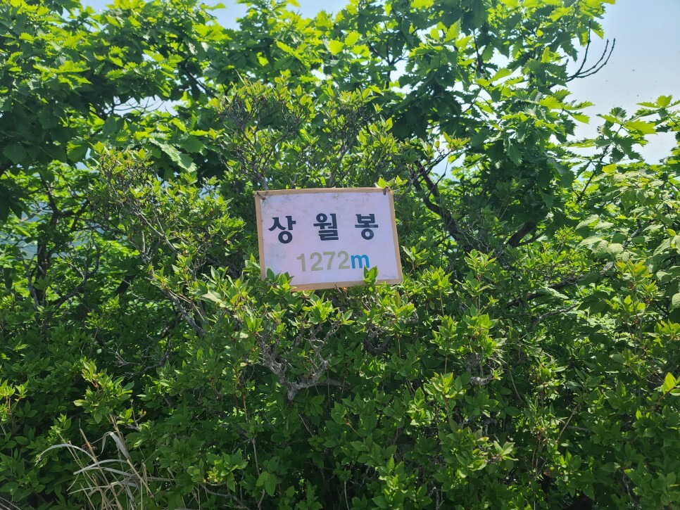 죽령 이미지