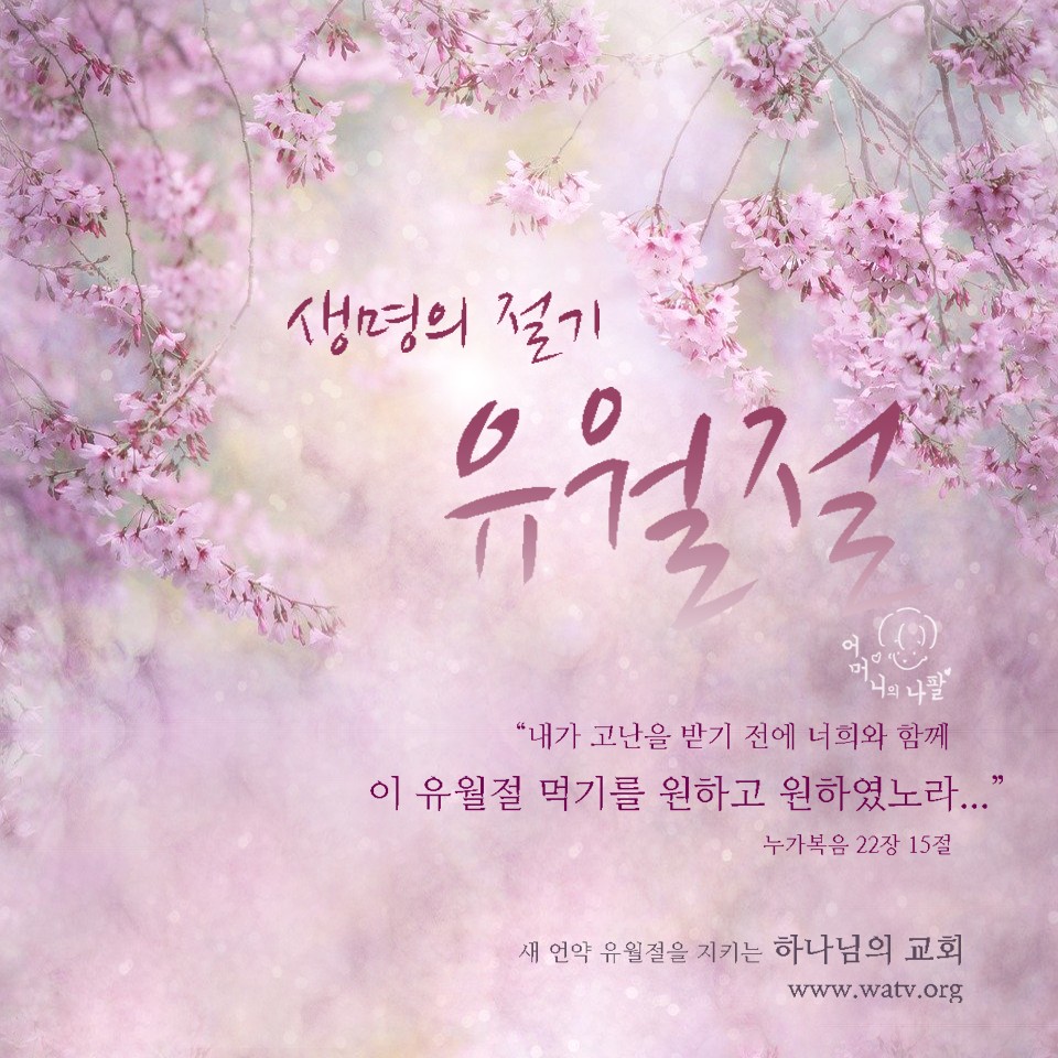 법인백성 이미지