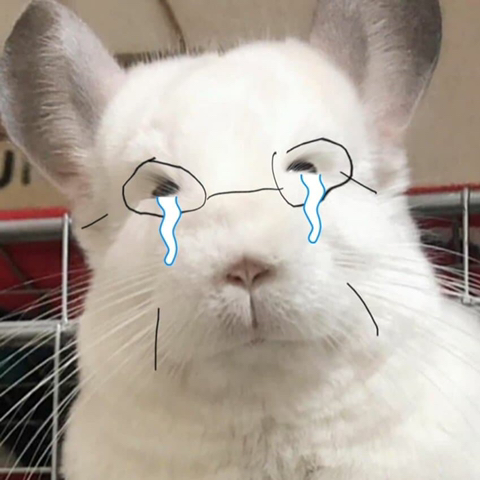 얘들아 재명이가 했다는 아기자기한 공약 | 인스티즈