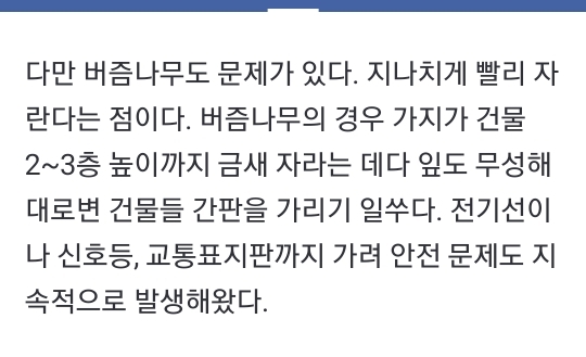 점점 유행인듯한 네모 가로수길.jpg | 인스티즈